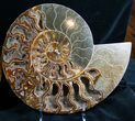 Split Ammonite Pair - Crystal Pockets #7580-1
